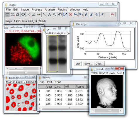 imagej wiki|imagej version.